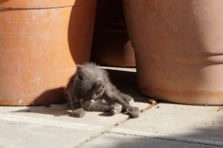 DSC06132 (Small)