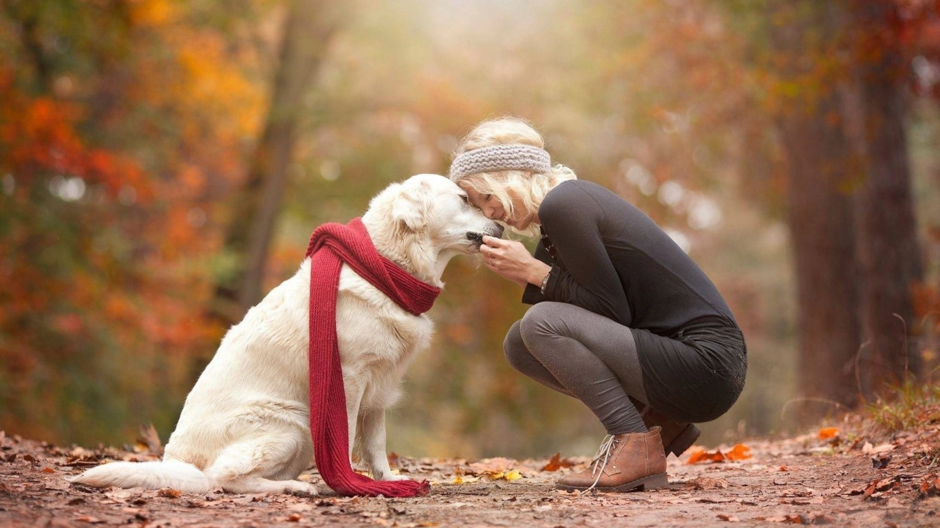 dog-love-cute-wallpaper-1366x768
