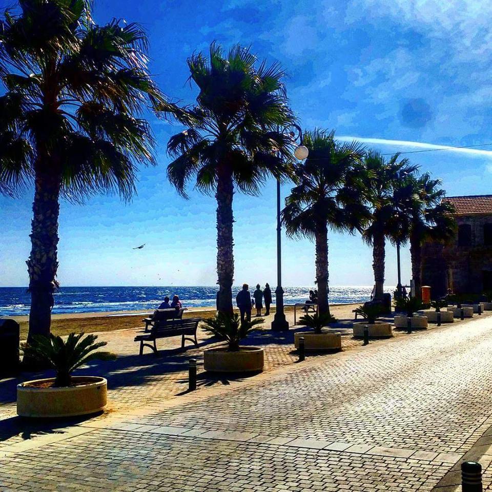 12729211_10156696671565515_4724377391192135614_n