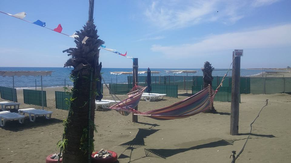 13094122_629617667192622_7338309694624117571_n