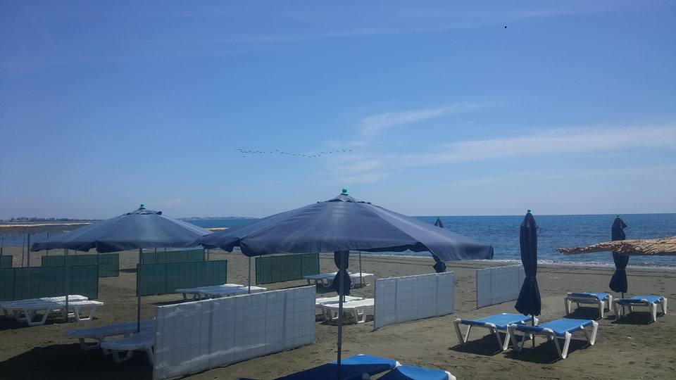 13173894_629617557192633_5671367817536858106_n