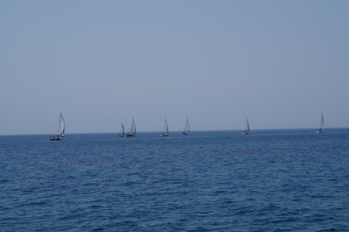 DSC09690 (Small)