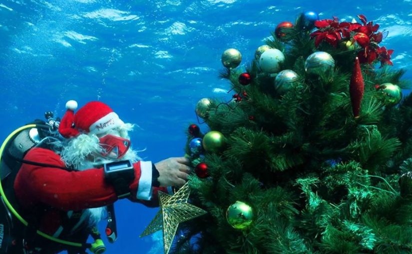 Ένα υπέροχο Χριστουγεννιάτικο δέντρο στον… βυθό - City Of Larnaka